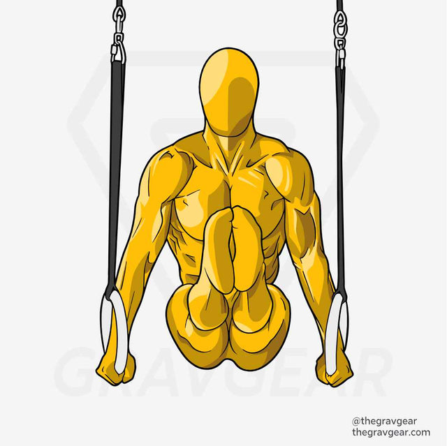 gymnast perform l sit on gymnastic rings
