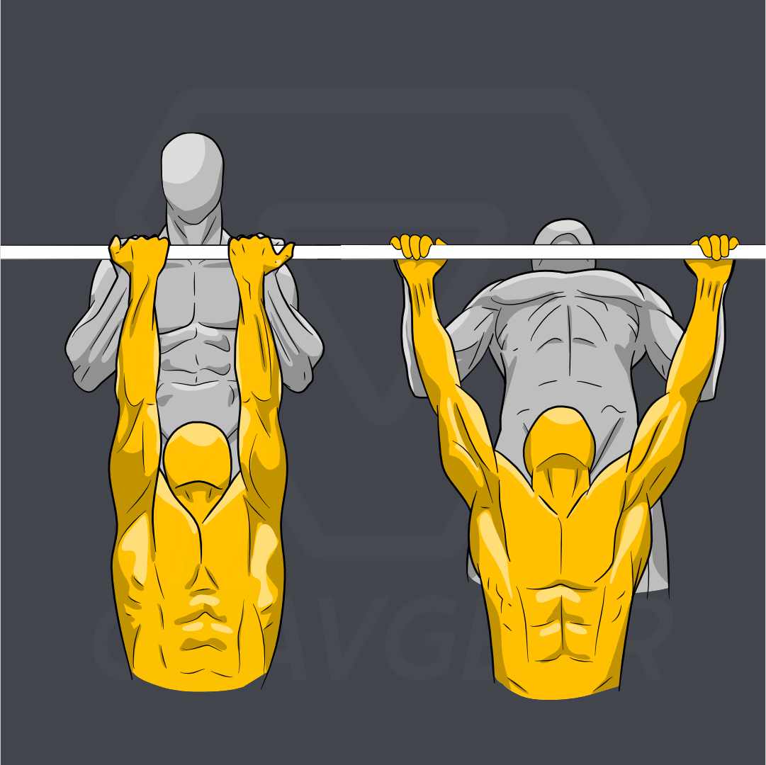 How to Do Reverse Grip Pull-Ups: Benefits, Tips, Techniques and Variations