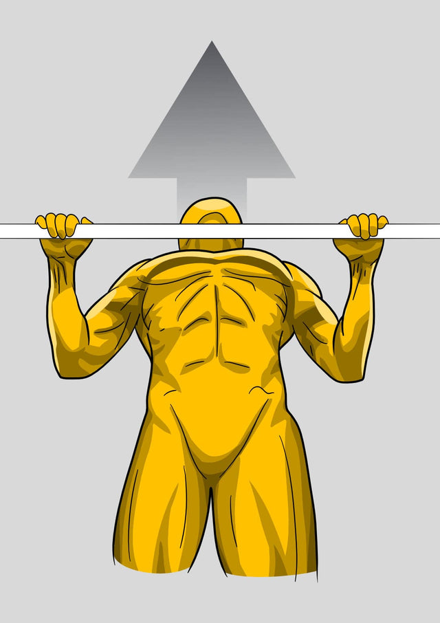 how to do perfect pull up illustration