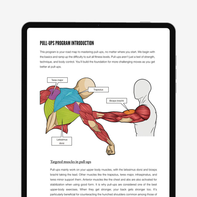 Calisthenics Playbook for Push Pull Squat (Digital book)
